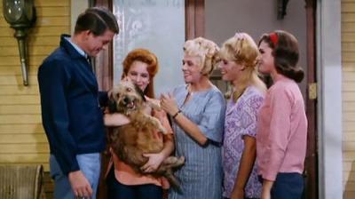 Petticoat Junction