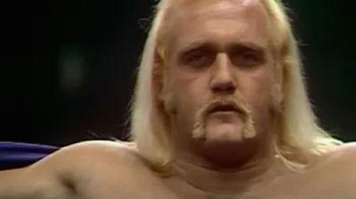 WWF All-Star Wrestling