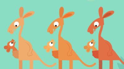 Animanimals