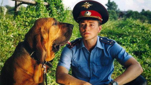 Участок filmas žiurėti online