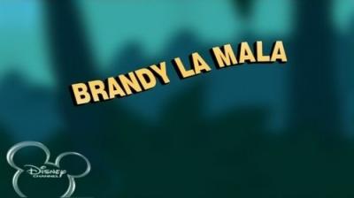 Brandy & Mr. Whiskers