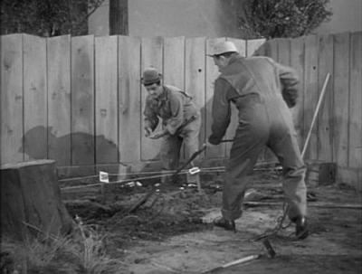 The Abbott and Costello Show