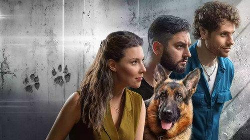 Пес Альф filmas žiurėti online