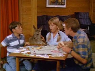 Skippy the Bush Kangaroo