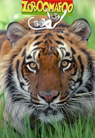 Zoboomafoo filmas online