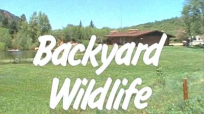 Marty Stouffer's Wild America