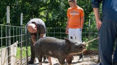 The Incredible Dr. Pol