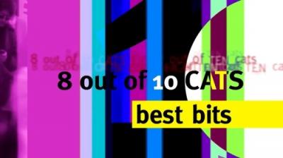 8 Out of 10 Cats