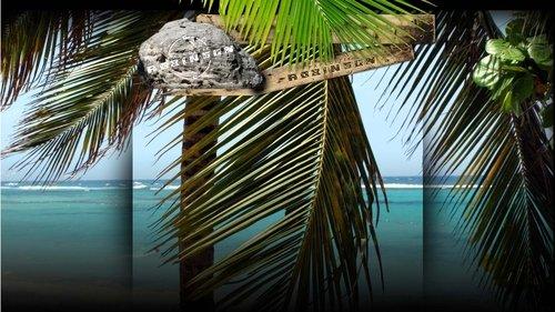 Expeditie Robinson filmas žiurėti online