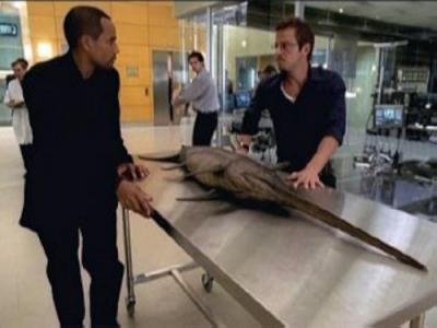 CSI: NY