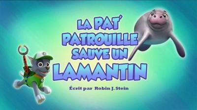 Šunyčiai patruliai