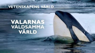 Vetenskapens värld