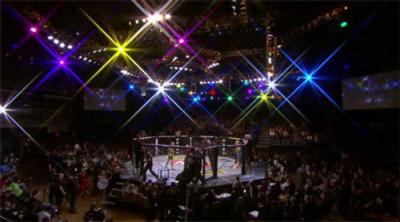 The Ultimate Fighter