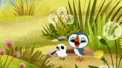 Puffin Rock