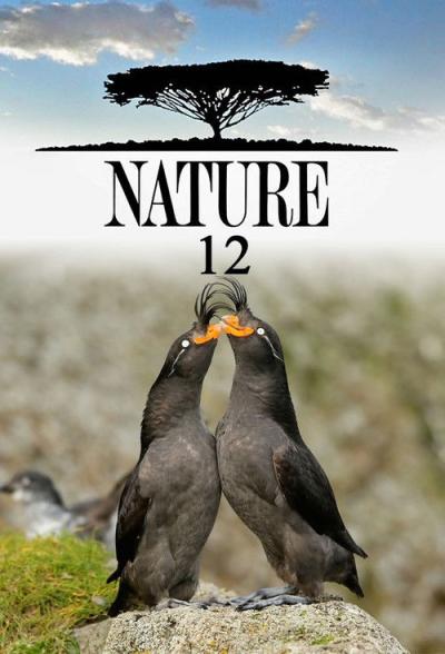 Nature filmas online