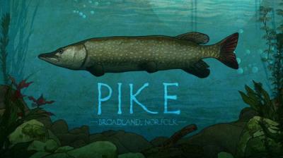 Mortimer & Whitehouse: Gone Fishing