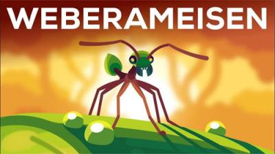 Kurzgesagt - In a Nutshell