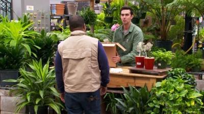 The Carbonaro Effect