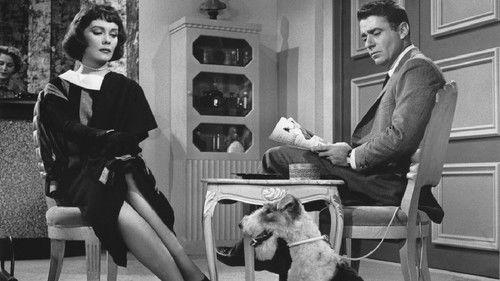 The Thin Man filmas žiurėti online