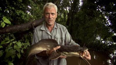 River Monsters