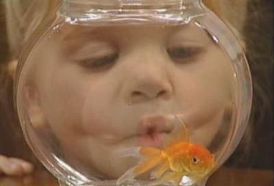 Full House