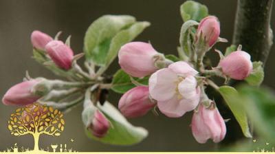 Gardeners' World