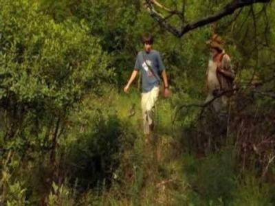 Wild at Heart