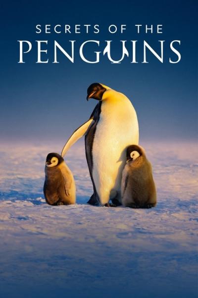 Secrets of the Penguins filmas online