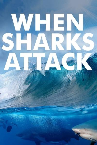 When Sharks Attack filmas online