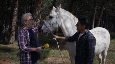El paisano