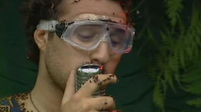 I'm a Celebrity...Get Me Out of Here!