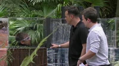 I'm a Celebrity...Get Me Out of Here!