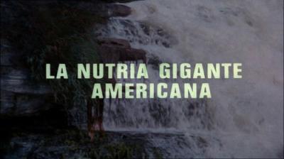 El hombre y la Tierra