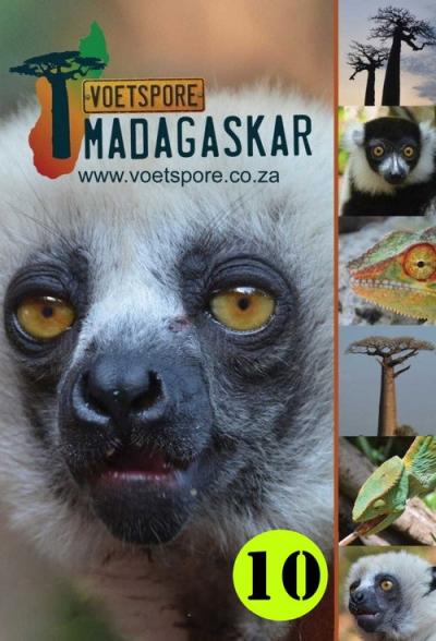Voetspore filmas online