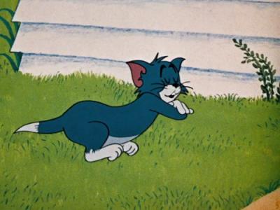 Tom and Jerry