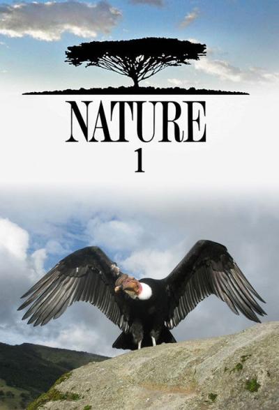 Nature filmas online