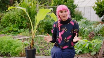 Gardening Australia