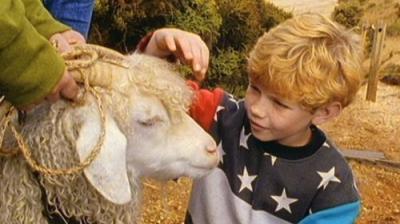 Round the Twist