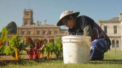 Gardening Australia