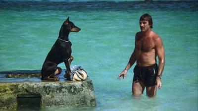 Magnum, P.I.