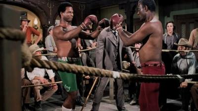 Namelis prerijose