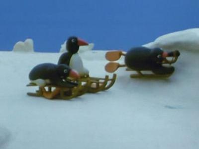 Pingu