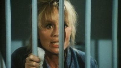 Falcon Crest