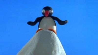 Pingu