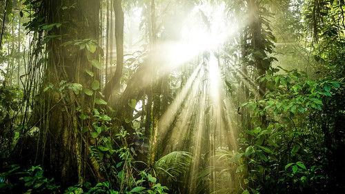 Žalioji planeta filmas žiurėti online