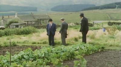 Last of the Summer Wine