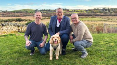 Dogs Behaving (Very) Badly