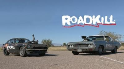 Roadkill