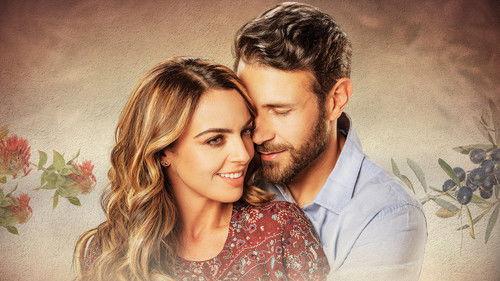 Skaudžiau už liepsną filmas žiurėti online