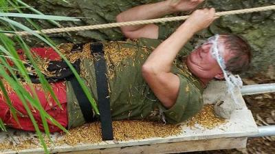 I'm a Celebrity...Get Me Out of Here!